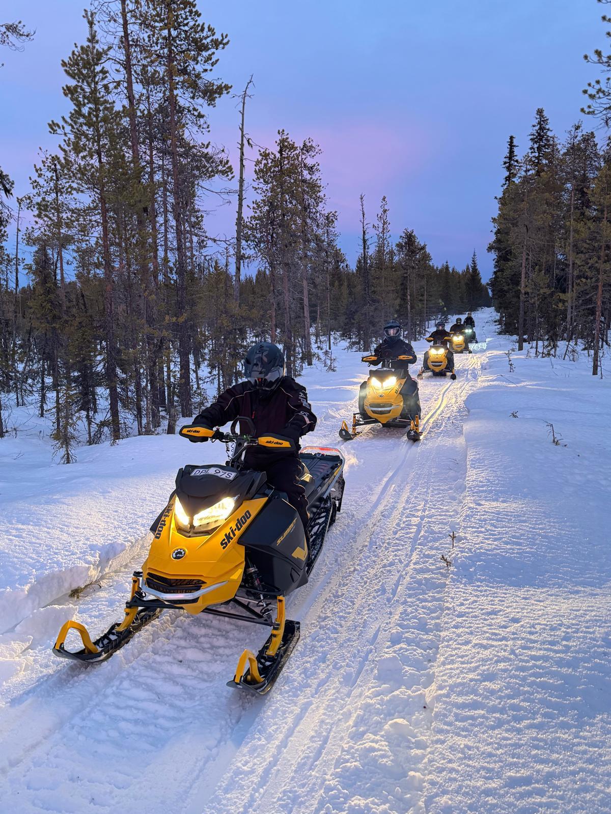 Schneemobil-Tour durch den Wald