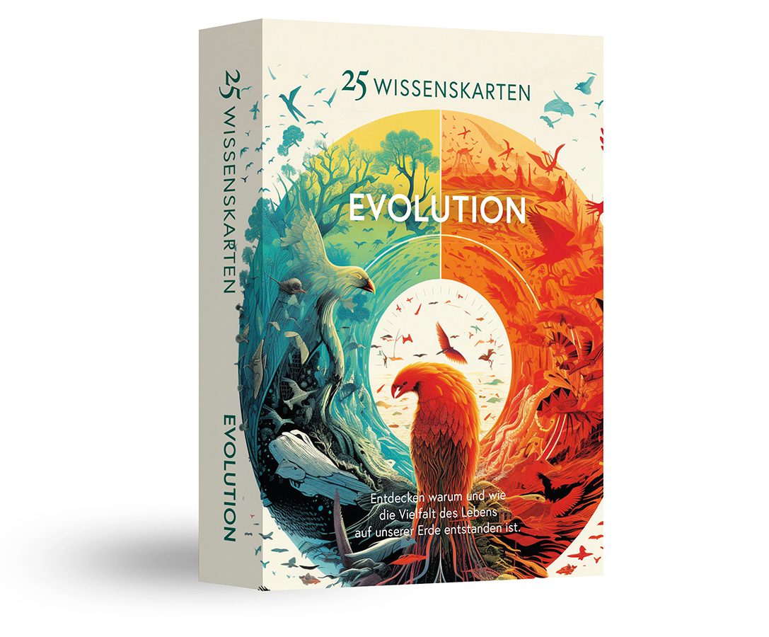 25 Wissenskarten – Evolution