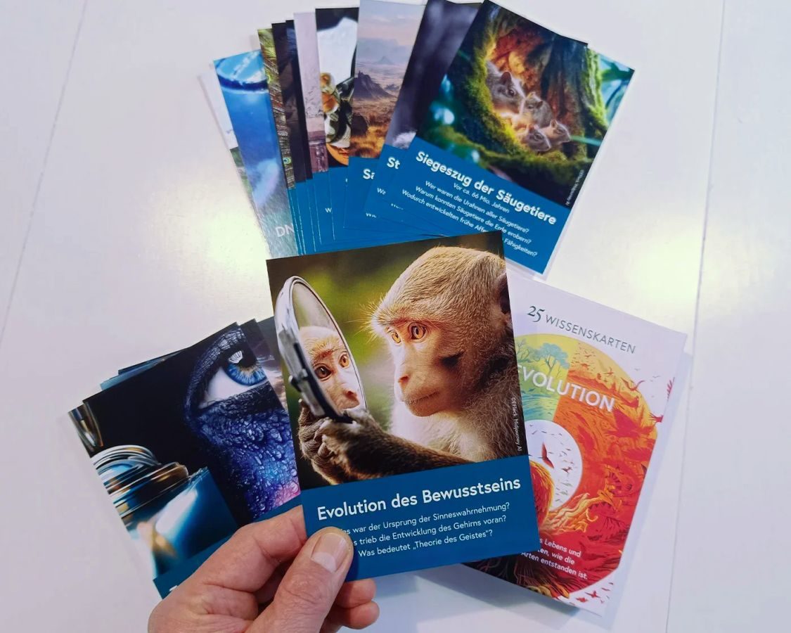 Evolution: card motifs